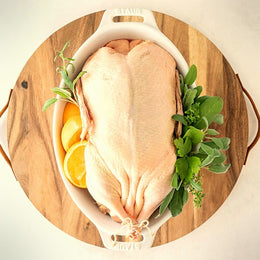 dinde-canard